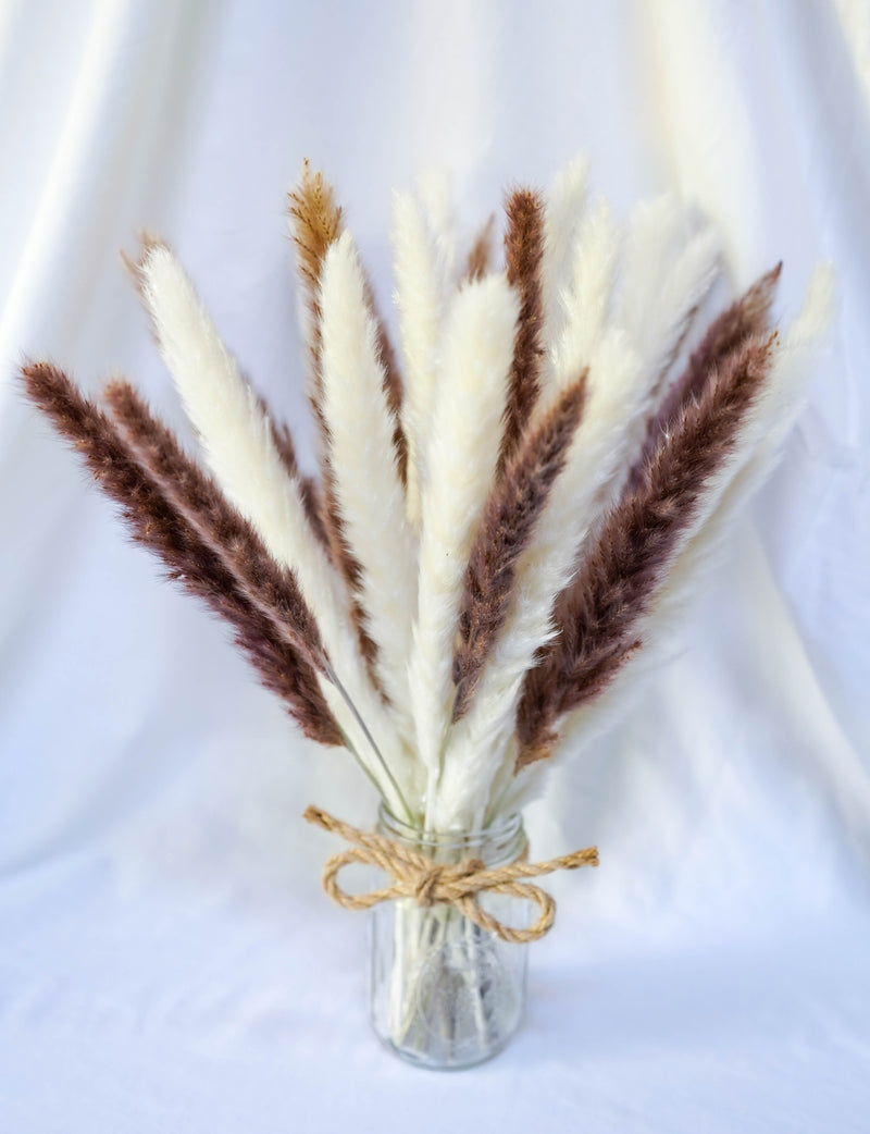 Jenwa's Pampas Grass