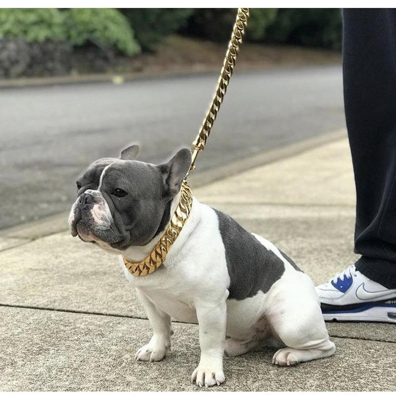 Kilo Cuban Link | Leash