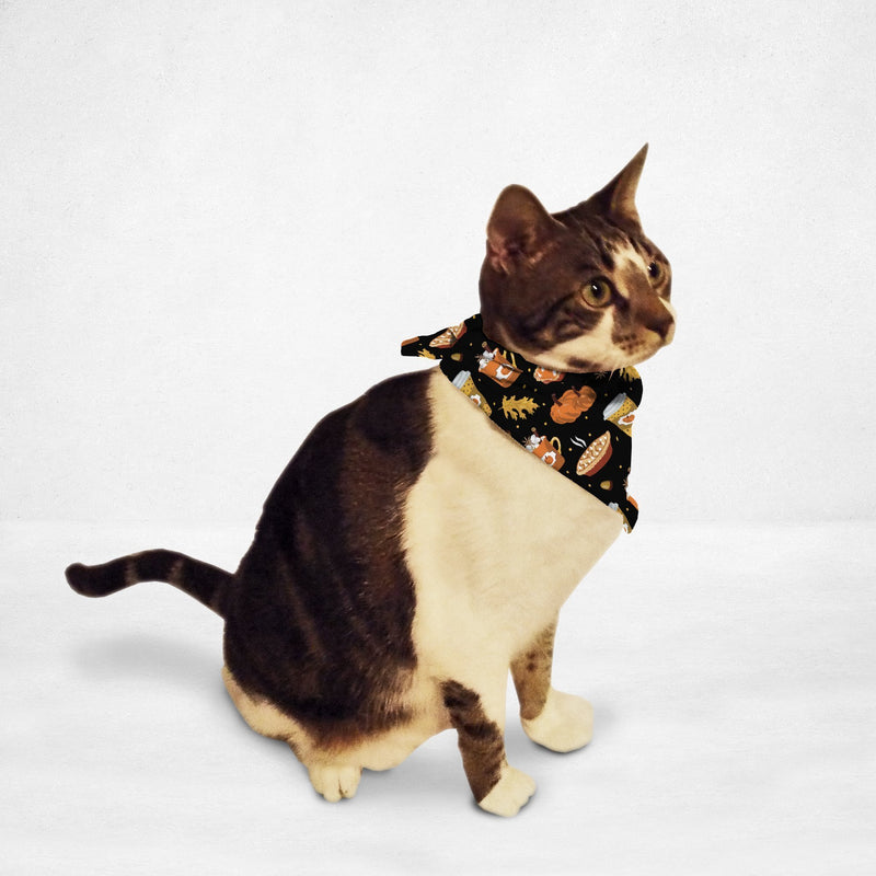 Pumpkin Spice Cat & Dog Bandana